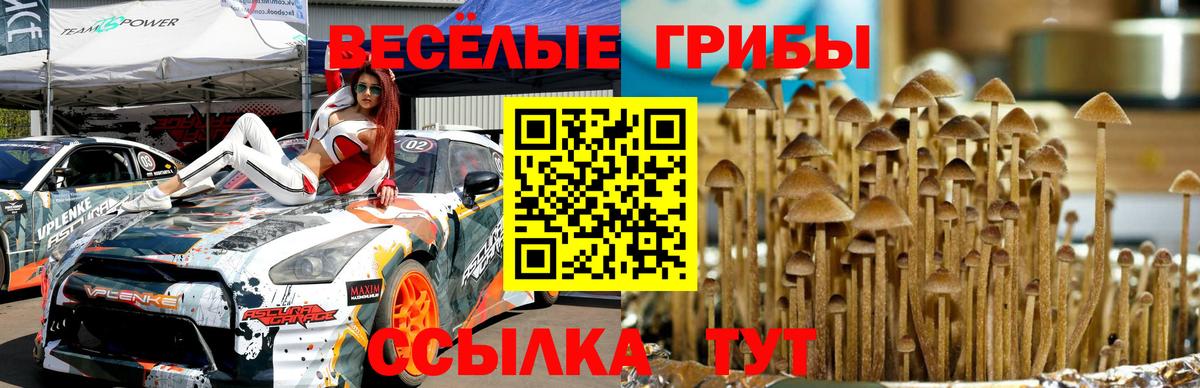 Южно-Сахалинск  Псилоцибиновые грибы Psilocybine cubensis  хочу   Галлюциногенные грибы Cubensis  Вход с VPN 